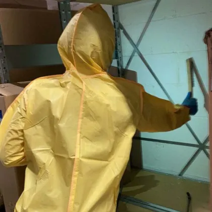 Mold Remediation