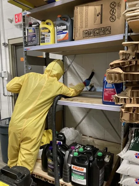 Mold Remediation
